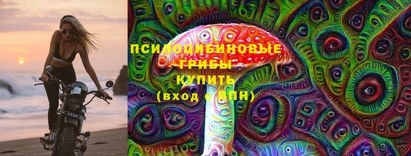 молекула духа Осинники