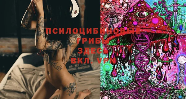 молекула духа Осинники